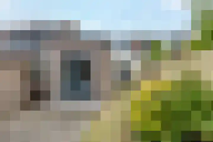 Alkmaarseweg 198 Beverwijk thumbnail 32