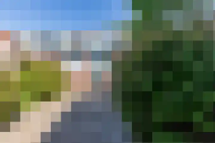 Alkmaarseweg 206 Beverwijk thumbnail 41