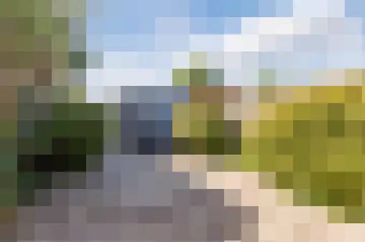 Alkmaarseweg 206 Beverwijk thumbnail 48