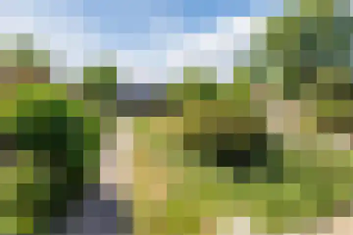 Alkmaarseweg 206 Beverwijk thumbnail 57
