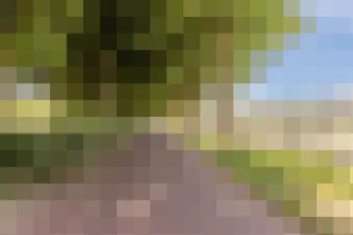 Alkmaarseweg 206 Beverwijk thumbnail 62
