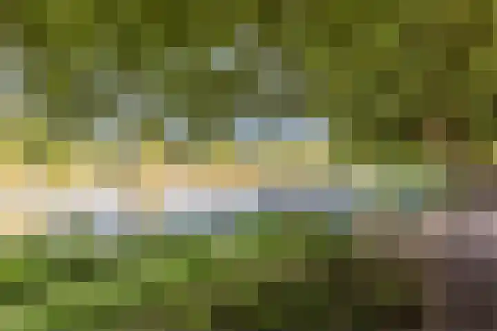 Alkmaarseweg 206 Beverwijk thumbnail 63