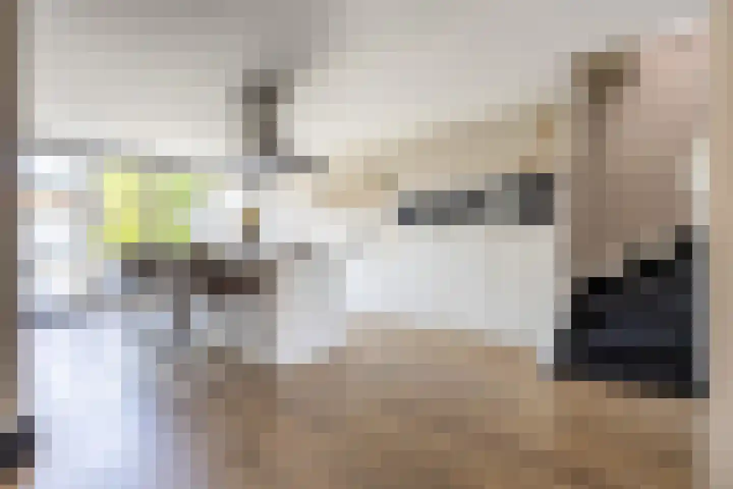 Alkmaarseweg 224 Beverwijk thumbnail 18