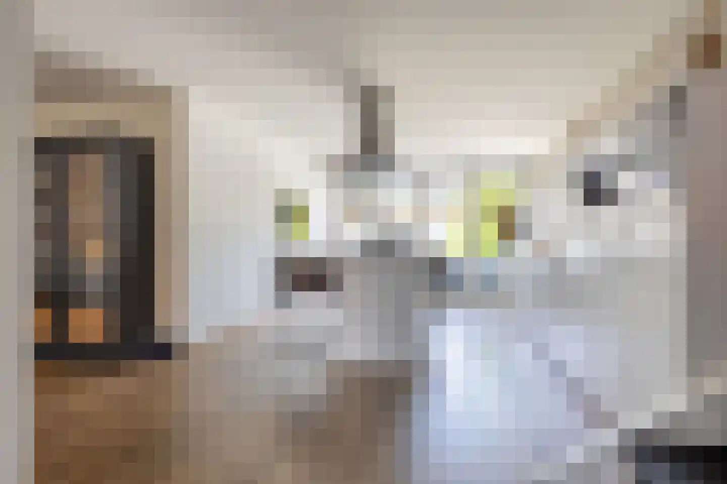 Alkmaarseweg 224 Beverwijk thumbnail 21