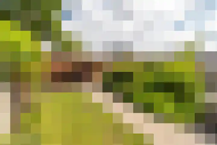 Alkmaarseweg 35 Beverwijk thumbnail 15