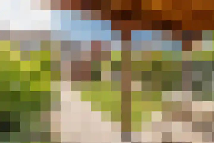 Alkmaarseweg 35 Beverwijk thumbnail 17