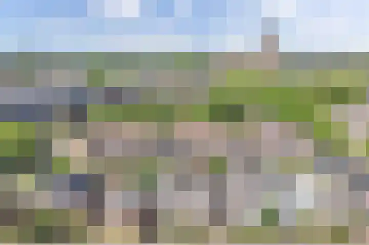 Alkmaarseweg 38 Beverwijk thumbnail 10