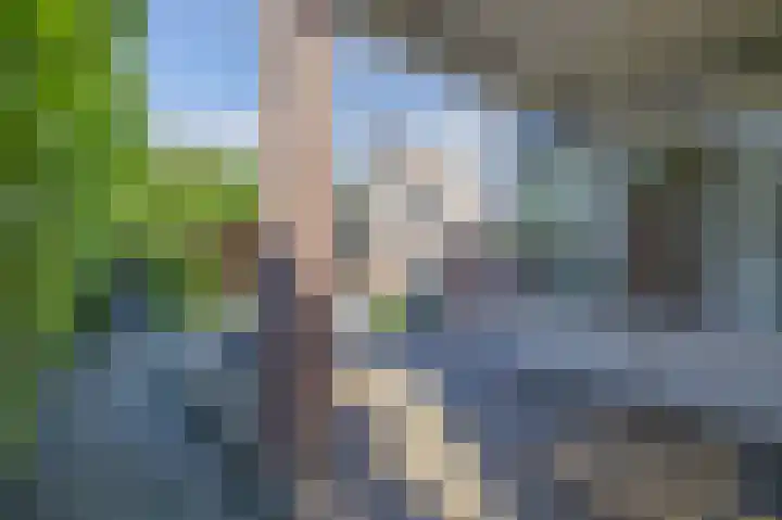 Alkmaarseweg 38 Beverwijk thumbnail 33