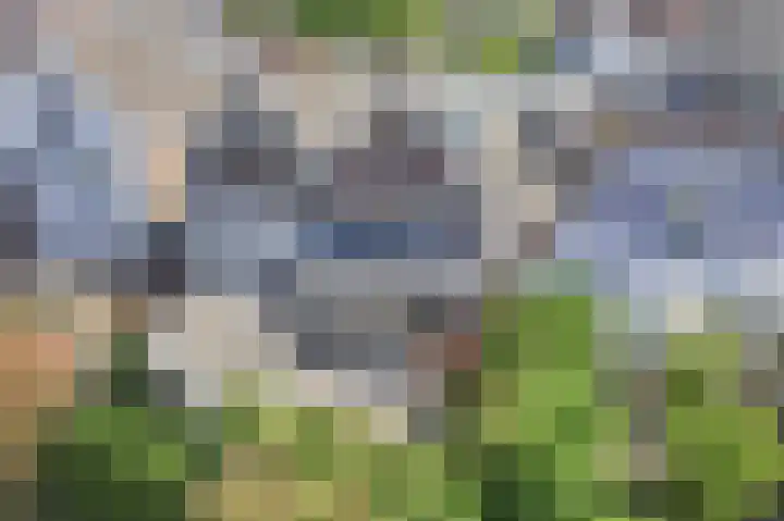 Alkmaarseweg 38 Beverwijk thumbnail 39