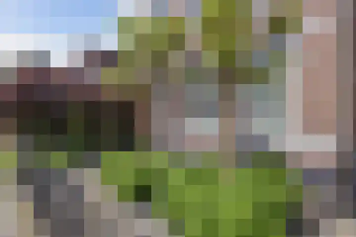 Alkmaarseweg 38 Beverwijk thumbnail 4
