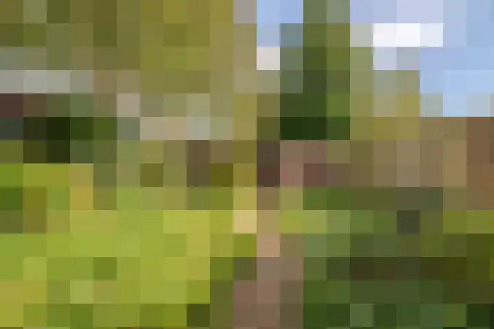 Alkmaarseweg 515 Beverwijk thumbnail 16