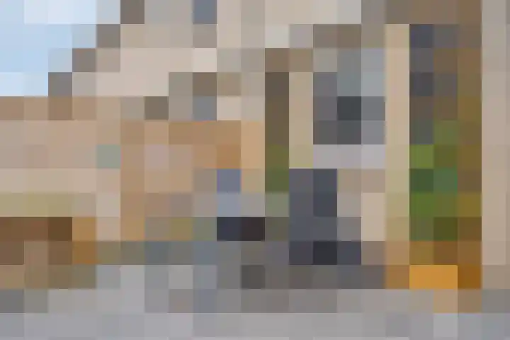 Alkmaarsingel 206 Arnhem thumbnail 16