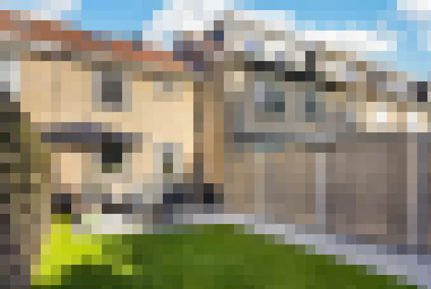 Alkmaarsingel 210 Arnhem thumbnail 21