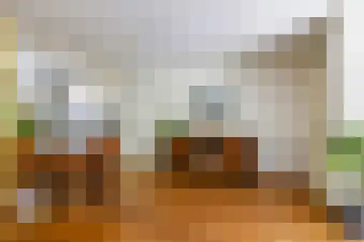Alkmaarsingel 233 Arnhem thumbnail 19