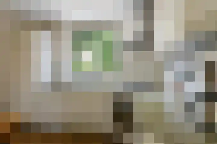 Alkmaarsingel 233 Arnhem thumbnail 22