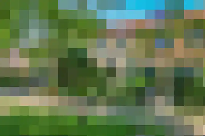 Alkmaarsingel 233 Arnhem thumbnail 4