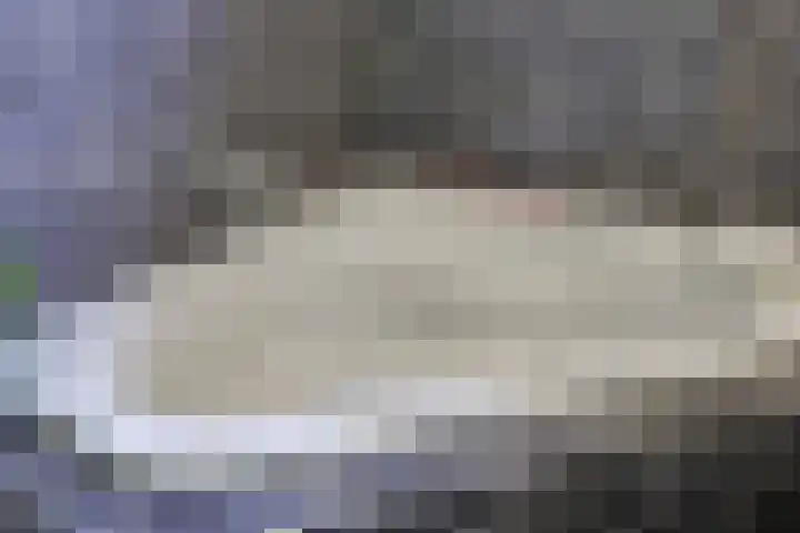 Alkmaarsingel 233 Arnhem thumbnail 41