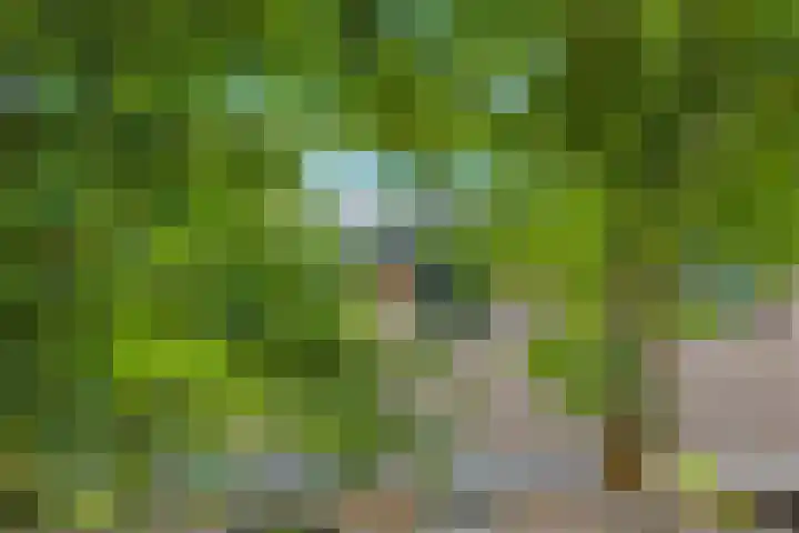 Alkmaarsingel 233 Arnhem thumbnail 54
