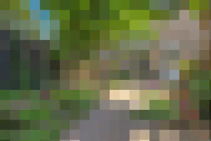 Alkmaarsingel 233 Arnhem thumbnail 55