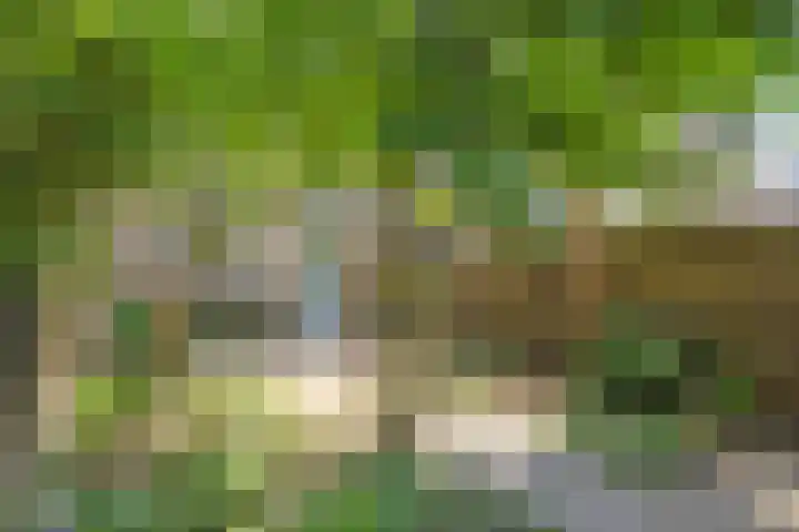 Alkmaarsingel 233 Arnhem thumbnail 56