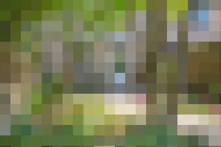 Alkmaarsingel 233 Arnhem thumbnail 57