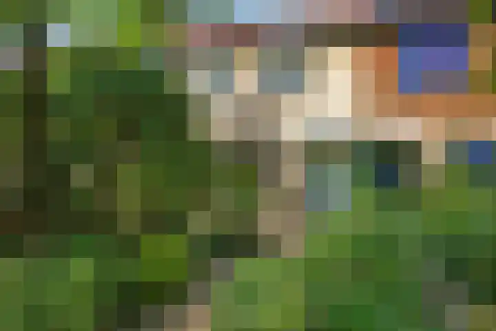 Alkmaarsingel 233 Arnhem thumbnail 6