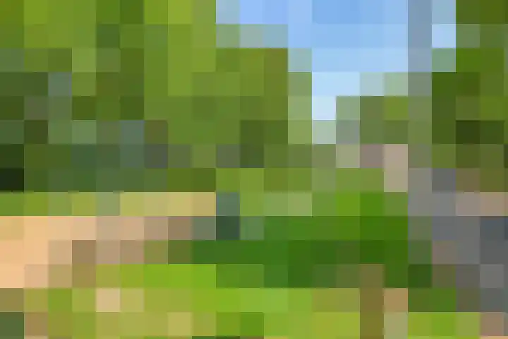 Alkmaarsingel 233 Arnhem thumbnail 64