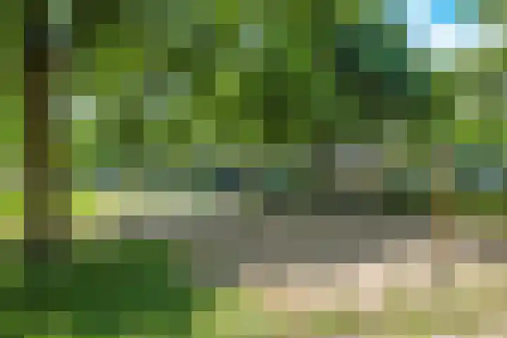 Alkmaarsingel 233 Arnhem thumbnail 65