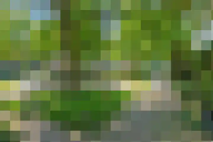 Alkmaarsingel 233 Arnhem thumbnail 66