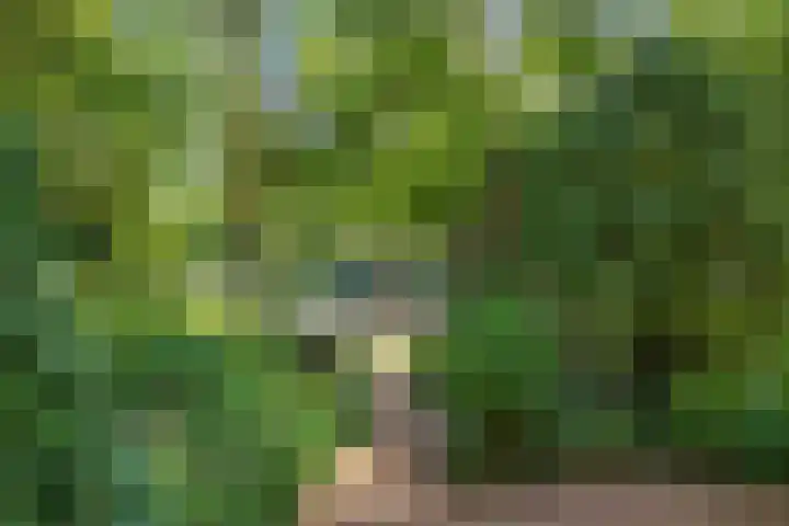 Alkmaarsingel 233 Arnhem thumbnail 67
