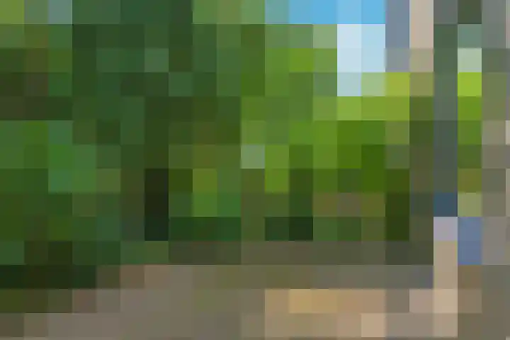 Alkmaarsingel 233 Arnhem thumbnail 68