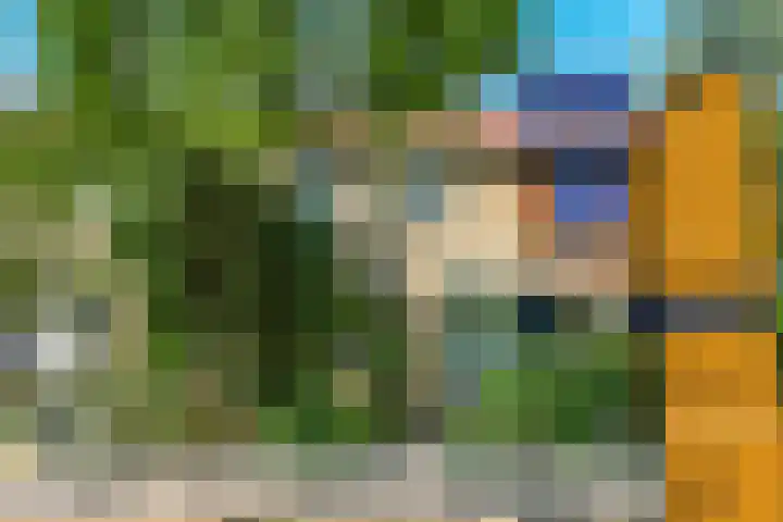 Alkmaarsingel 233 Arnhem thumbnail 70