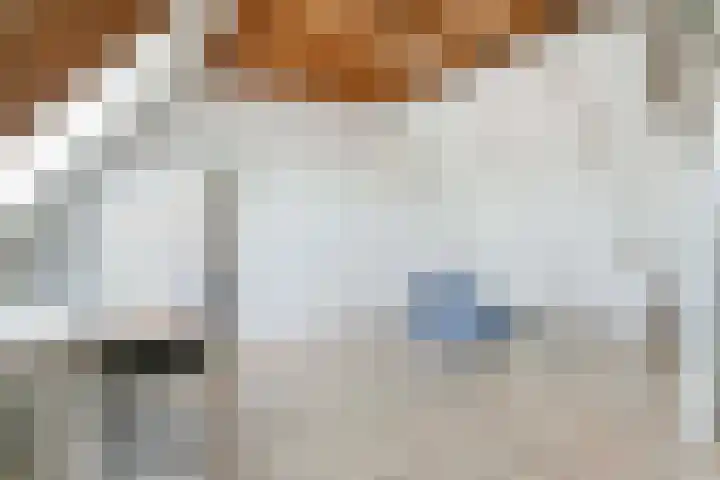 Alkmaarsingel 238 Arnhem thumbnail 19