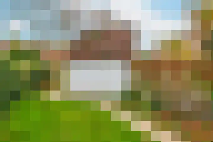 Alkmaarsingel 238 Arnhem thumbnail 21
