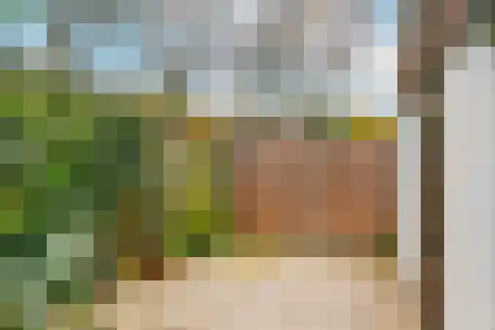 Alkmaarsingel 238 Arnhem thumbnail 22