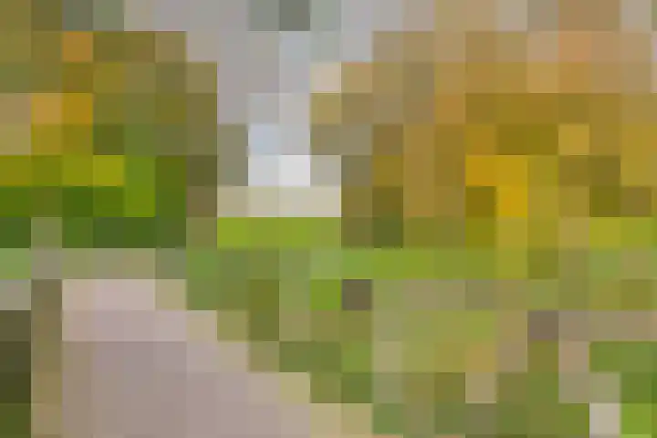 Alkmaarsingel 238 Arnhem thumbnail 26