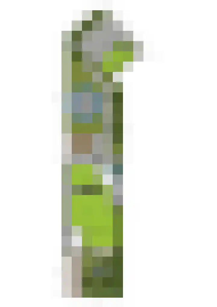 Alkmaarsingel 238 Arnhem thumbnail 30