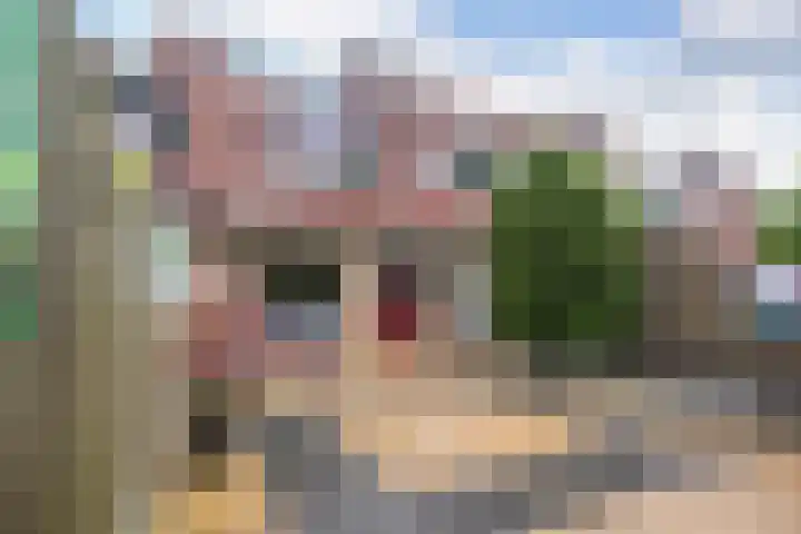 Alkmaarsingel 256 Arnhem thumbnail 23