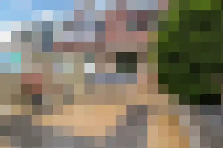Alkmaarsingel 256 Arnhem thumbnail 24
