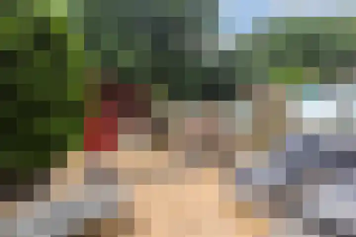 Alkmaarsingel 256 Arnhem thumbnail 25
