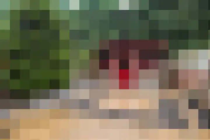 Alkmaarsingel 256 Arnhem thumbnail 26