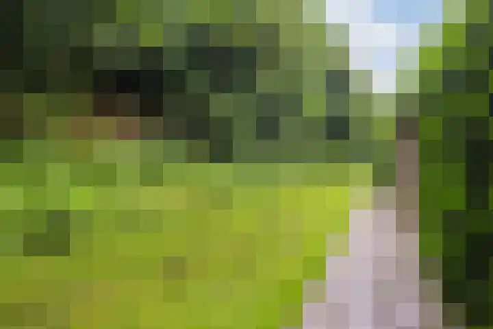 Alkmaarsingel 256 Arnhem thumbnail 28