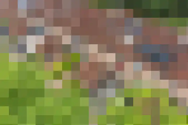 Alkmaarsingel 256 Arnhem thumbnail 30