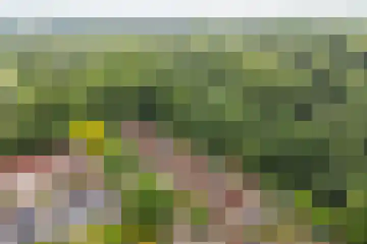 Alkmaarsingel 256 Arnhem thumbnail 31