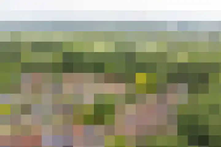 Alkmaarsingel 256 Arnhem thumbnail 32