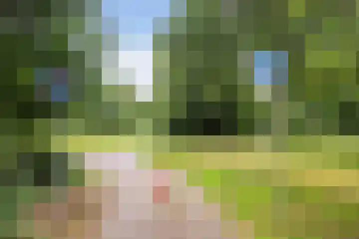 Alkmaarsingel 256 Arnhem thumbnail 33