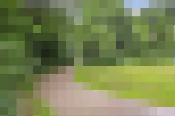 Alkmaarsingel 256 Arnhem thumbnail 34
