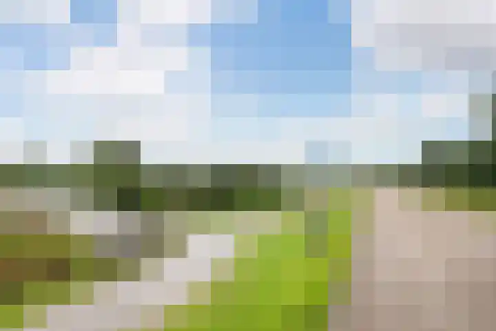 Alkmaarsingel 256 Arnhem thumbnail 35