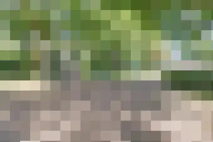 Alkmaarsingel 276 Arnhem thumbnail 20