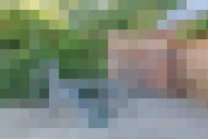 Alkmaarsingel 276 Arnhem thumbnail 23